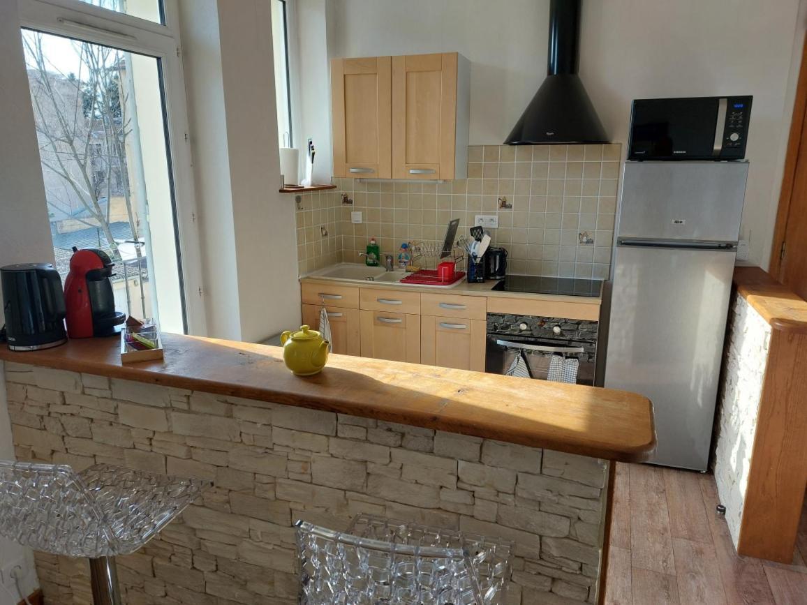 Appartement Proche Des Parcs Vichy Eksteriør billede