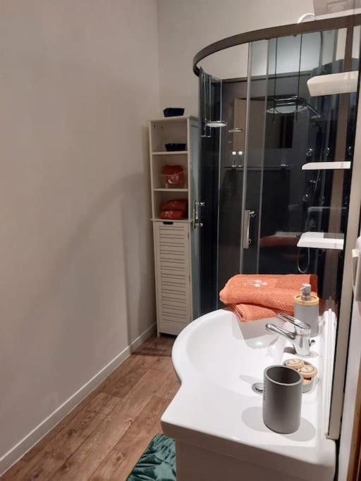 Appartement Proche Des Parcs Vichy Eksteriør billede